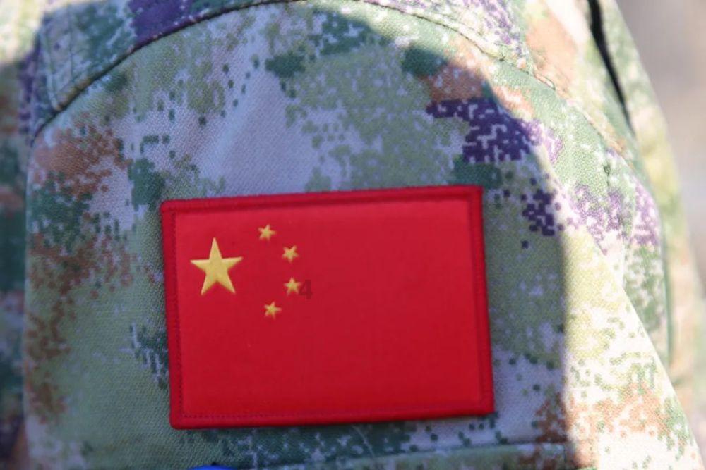 饥饿的松鼠救援